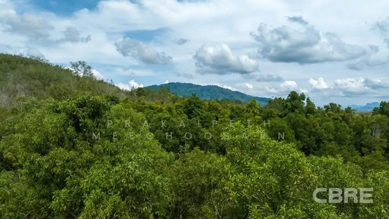 ที่ดินมองเห็นวิวทะเล - สามช่อง, พังงา, กะไหล, ตะกั่วทุ่ง, พังงา, 136,076 ตร.ม., ที่ดิน ขาย, โดย Prakaipeth Meechoosarn, 500422639 - DDproperty.com