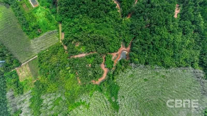 Sea Views Land - Samchong, Phangnga, Ka Lai, Takua Thung, Phangnga, , 136,076 sqm, Land For Sale, by Prakaipeth Meechoosarn, 500422639 - DDproperty.com