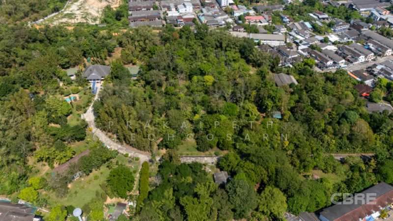 Peace and Tranquility, Close to Phuket Town, Phuket, Ratsada, Muang Phuket, Phuket, , 3,311 sqm, Land For Sale, by Prakaipeth Meechoosarn, 500422649 - DDproperty.com
