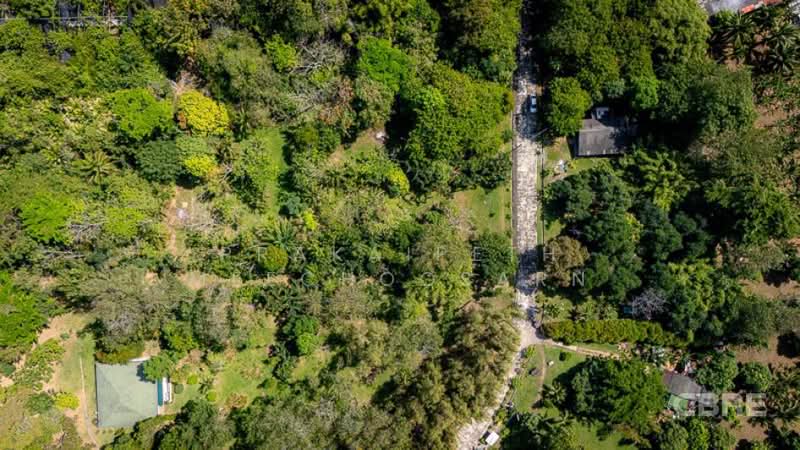 Peace and Tranquility, Close to Phuket Town, Phuket, Ratsada, Muang Phuket, Phuket, , 3,311 sqm, Land For Sale, by Prakaipeth Meechoosarn, 500422649 - DDproperty.com