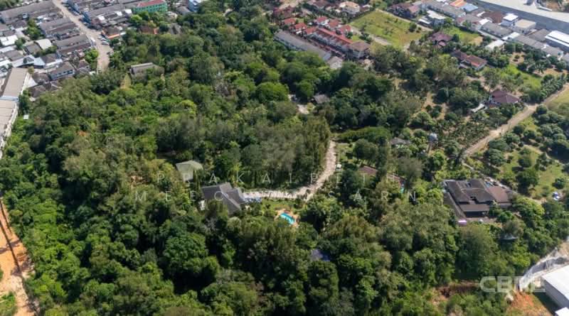 Peace and Tranquility, Close to Phuket Town, Phuket, Ratsada, Muang Phuket, Phuket, , 3,311 sqm, Land For Sale, by Prakaipeth Meechoosarn, 500422649 - DDproperty.com