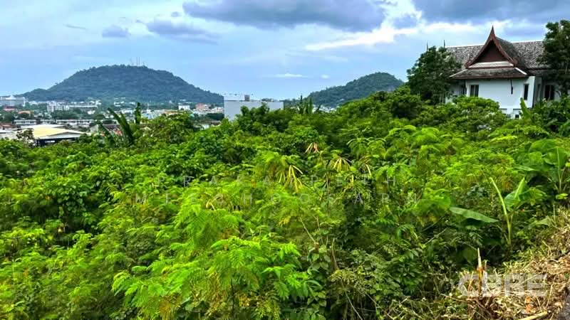 Flat Land - Bypass Road, Phuket, ถนนเฉลิมพระเกียรติ ร.9, Ratsada, Muang Phuket, Phuket, , 1,060 sqm, Land For Sale, by Prakaipeth Meechoosarn, 500422665 - DDproperty.com