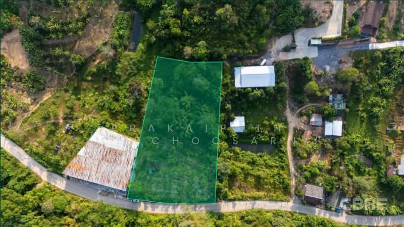 Small Land Plot - Layan, Phuket, Choeng Thale, Thalang, Phuket, , 2,783 sqm, Land For Sale, by Prakaipeth Meechoosarn, 500422666 - DDproperty.com
