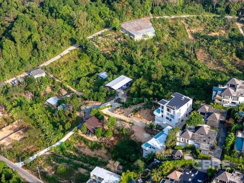 Small Land Plot - Layan, Phuket, Choeng Thale, Thalang, Phuket, , 2,783 sqm, Land For Sale, by Prakaipeth Meechoosarn, 500422666 - DDproperty.com