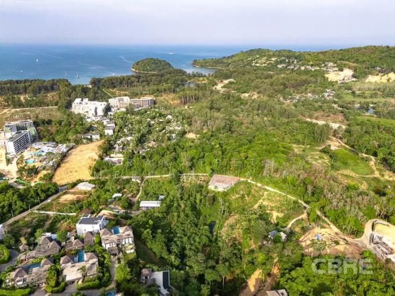 Small Land Plot - Layan, Phuket, Choeng Thale, Thalang, Phuket, , 2,783 sqm, Land For Sale, by Prakaipeth Meechoosarn, 500422666 - DDproperty.com