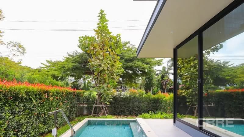 Modern House with Gelato Boutique in Khao Yai, Nakhon Ratchasima, Pak Chong, Pak Chong, Nakhon Ratchasima, 4 Bedrooms, 990 sqm, Single Detached House For Sale, by Paveenee Chaisriha, 500422897 - DDproperty.com