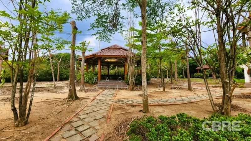 Land in BNR Training Center Khao Yai, Nakhon Ratchasima, Khanong Phra, Pak Chong, Nakhon Ratchasima, , 20,064 sqm, Land For Sale, by Jirachaya Tangkittiwet, 500423049 - DDproperty.com