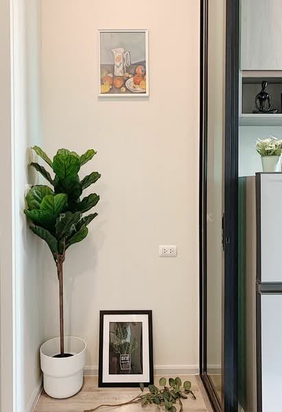 KnightsBridge Collage Ramkhamhaeng, Bangkok, Ramkhamhaeng Road, Hua Mak, Bang Kapi, Bangkok, 1 Bedroom, 27 sqm, Condo For Rent, by Praewpakar Soontawong, 500423089 - DDproperty.com