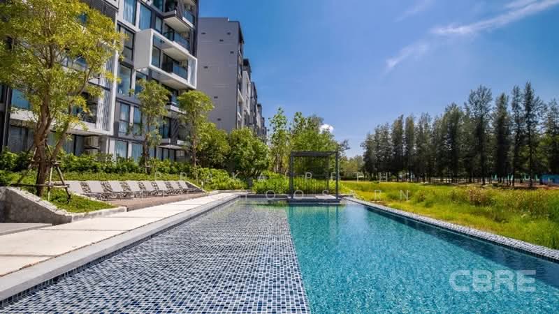 Cassia Residence : แคสเซีย เรสซิเดนซ์, ภูเก็ต, ถนนศรีสุนทร, เชิงทะเล, ถลาง, ภูเก็ต, 53 ตร.ม., คอนโด ขาย, โดย Prakaipeth Meechoosarn, 500423272 - DDproperty.com