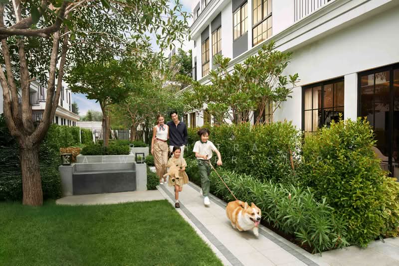 Pine Wellness Residence Prachachuen : ไพนน์ เวลเนส เรสซิเดนซ์ ประชาชื่น, นนทบุรี, ถนนสามัคคี, ท่าทราย, เมืองนนทบุรี, นนทบุรี, 205 ตร.ม., บ้านเดี่ยว ขาย, โดย Pichitra Kaewprasertsilp, 500423326 - DDproperty.com