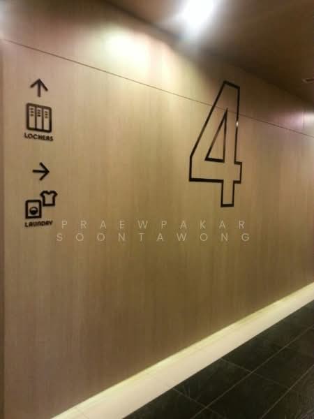 IDEO MOBI Sukhumvit 81 : ไอดีโอ โมบิ สุขุมวิท 81, กรุงเทพ, 2097 ถนนสุขุมวิท แขวงบางจาก เขตพระโขนง กรุงเทพมหานคร, บางจาก, พระโขนง, กรุงเทพ, 22 ตร.ม., คอนโด ให้เช่า, โดย Praewpakar Soontawong, 500423456 - DDproperty.com