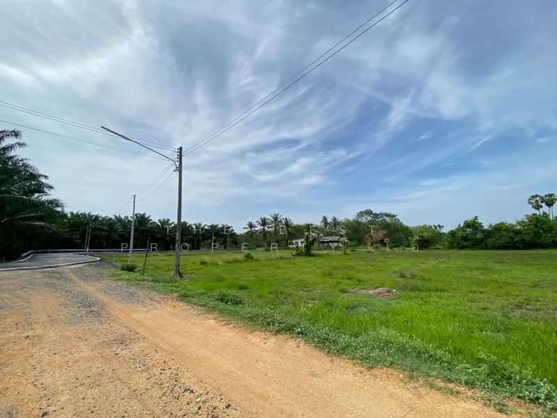 ที่ดินรัตภูมิ สงขลา, สงขลา, กำแพงเพชร, รัตภูมิ, สงขลา, 3,604 ตร.ม., ที่ดิน ขาย, โดย The Best Property โอ๋, 500423618 - DDproperty.com