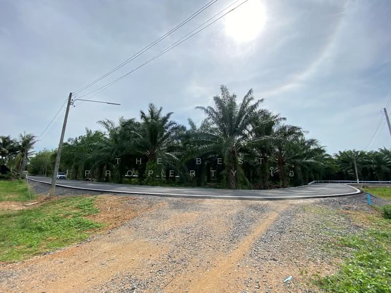 ที่ดินรัตภูมิ สงขลา, สงขลา, กำแพงเพชร, รัตภูมิ, สงขลา, 3,604 ตร.ม., ที่ดิน ขาย, โดย The Best Property โอ๋, 500423618 - DDproperty.com