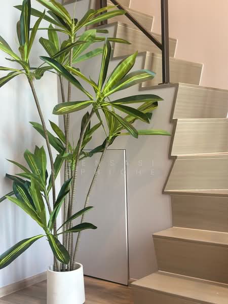 Culture Thonglor, Bangkok, Soi Sukhumvit 59, Sukhumvit Road, Khlong Tan Nua, Watthana, Bangkok, 1 Bedroom, 37 sqm, Condo For Rent, by Pensasi Ongphichetmetha, 500423686 - DDproperty.com