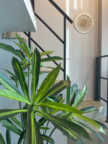 Culture Thonglor, Bangkok, Soi Sukhumvit 59, Sukhumvit Road, Khlong Tan Nua, Watthana, Bangkok, 1 Bedroom, 37 sqm, Condo For Rent, by Pensasi Ongphichetmetha, 500423686 - DDproperty.com