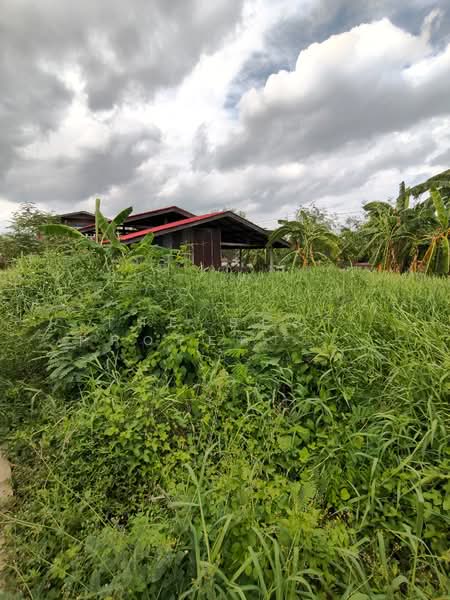 ที่ดิน บางพลี สมุทรปราการ, Samut Prakan, Nong Pru, Bang Plee, Samut Prakan, , 400 sqm, Land For Sale, by The Best Property ชา, 500423762 - DDproperty.com