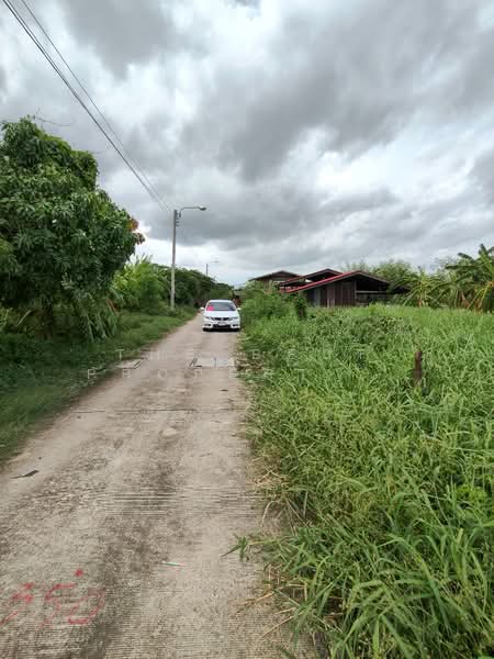 ที่ดิน บางพลี สมุทรปราการ, Samut Prakan, Nong Pru, Bang Plee, Samut Prakan, , 400 sqm, Land For Sale, by The Best Property ชา, 500423762 - DDproperty.com