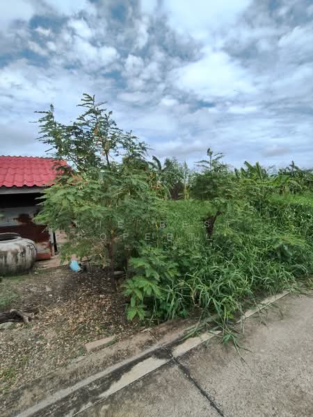ที่ดิน บางพลี สมุทรปราการ, Samut Prakan, Nong Pru, Bang Plee, Samut Prakan, , 400 sqm, Land For Sale, by The Best Property ชา, 500423762 - DDproperty.com