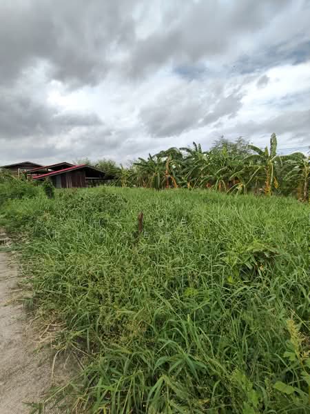 ที่ดิน บางพลี สมุทรปราการ, Samut Prakan, Nong Pru, Bang Plee, Samut Prakan, , 400 sqm, Land For Sale, by The Best Property ชา, 500423762 - DDproperty.com