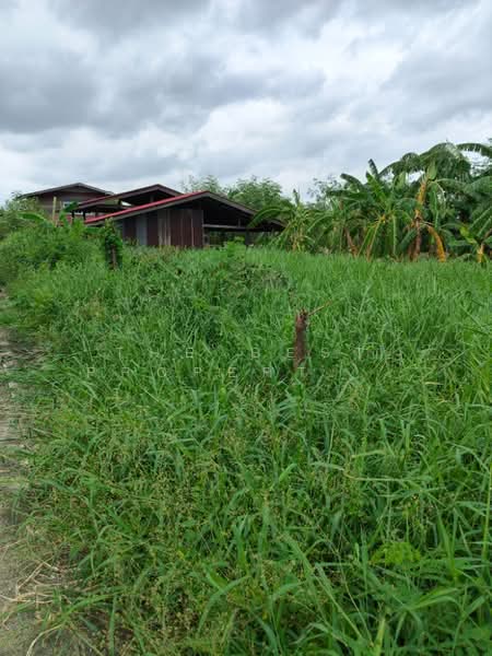 ที่ดิน บางพลี สมุทรปราการ, สมุทรปราการ, หนองปรือ, บางพลี, สมุทรปราการ, 400 ตร.ม., ที่ดิน ขาย, โดย The Best Property  ชา, 500423762 - DDproperty.com