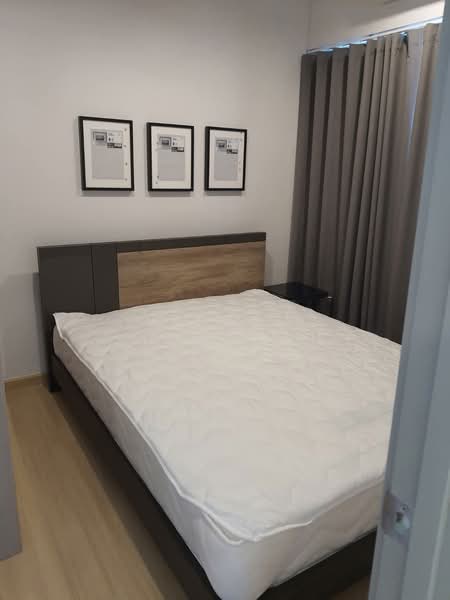 Whizdom Connect Sukhumvit : วิสซ์ดอม คอนเนค สุขุมวิท, กรุงเทพ, 1 ซอยปิยบุตร์ 1 ถนนสุขุมวิท, บางนา, กรุงเทพ, 27 ตร.ม., คอนโด ให้เช่า, โดย Vipada Supaporn, 500423801 - DDproperty.com