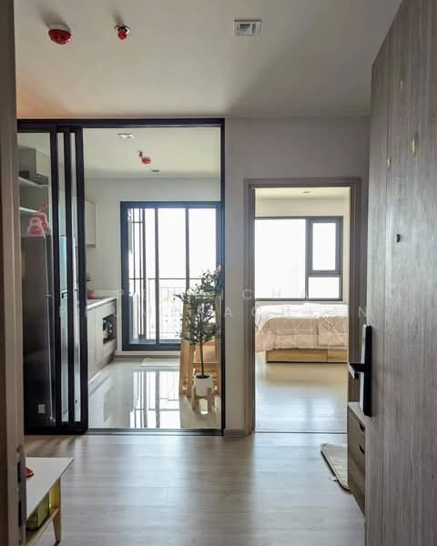 Life Sathorn Sierra, Bangkok, Ratchaphruek Rd, Talat Plu, Thon Buri, Bangkok, 1 Bedroom, 32 sqm, Condo For Rent, by Penpicha Phumprachian, 500423814 - DDproperty.com