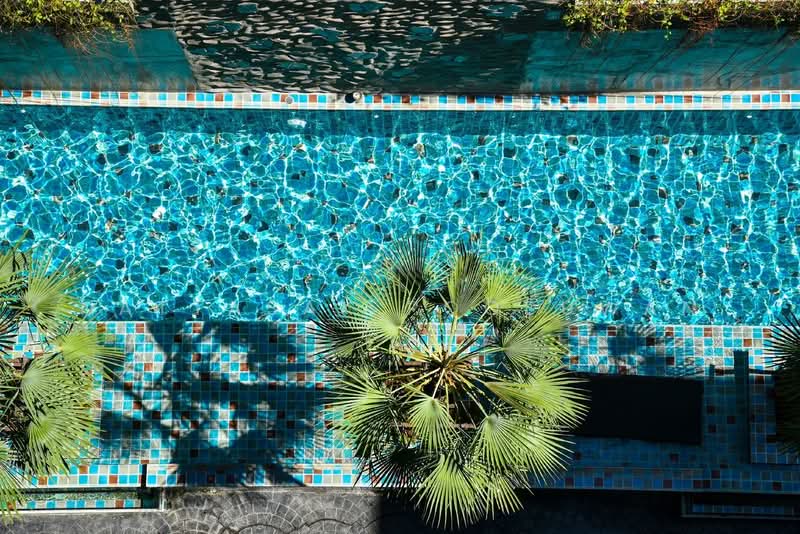 Siam Oriental Tropical Garden : สยาม ออเรียนทัล ทรอปิคอล การ์เด้น, ชลบุรี, 267/65 หมู่ที่ 12, หนองปรือ, บางละมุง, ชลบุรี, 37 ตร.ม., คอนโด ขาย, โดย Nattasak Poosuwan, 500423966 - DDproperty.com