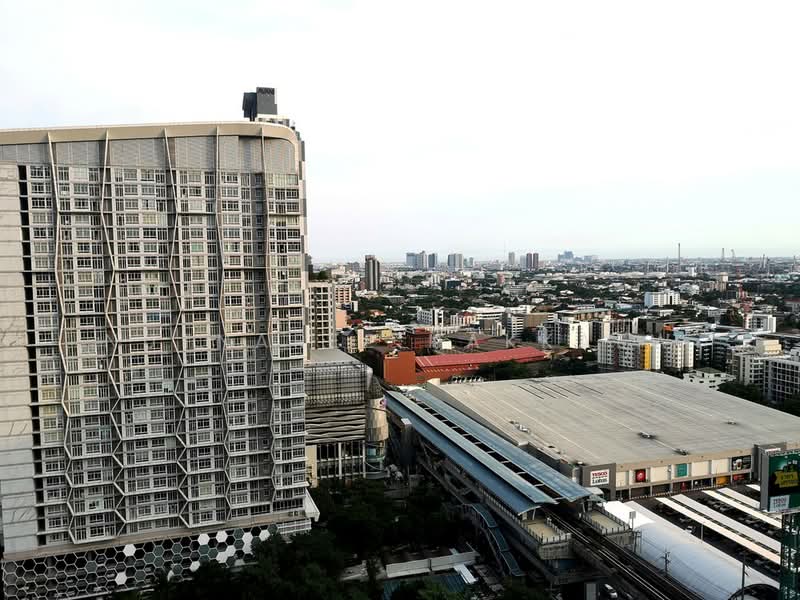 Q House Sukhumvit 79 : คิวเฮาส์ สุขุมวิท 79, กรุงเทพ, 2059 ถนนสุขุมวิท, พระโขนงเหนือ, วัฒนา, กรุงเทพ, 31 ตร.ม., คอนโด ให้เช่า, โดย Nutnaree Nakkaew, 500424017 - DDproperty.com