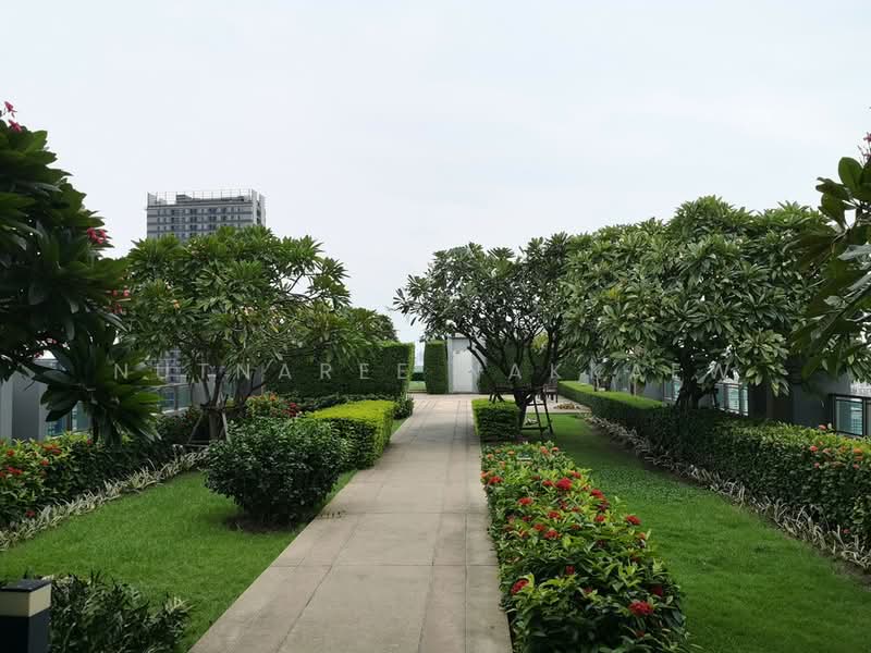 Q House Sukhumvit 79, Bangkok, 2059 Sukhumvit Road, Phra Kanong Nua, Watthana, Bangkok, 1 Bedroom, 31 sqm, Condo For Rent, by Nutnaree Nakkaew, 500424017 - DDproperty.com