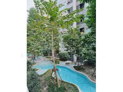 For Rent - Elio Del Moss Phaholyothin 34, Bangkok