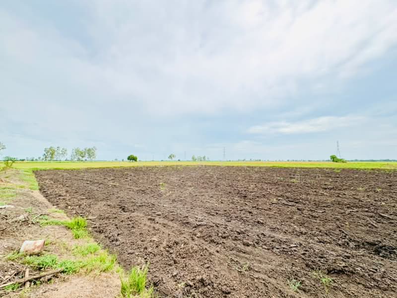 ที่ดินตาคลี นครสวรรค์, Nakhon Sawan, Phrom Nimitr, Takhli, Nakhon Sawan, , 13,432 sqm, Land For Sale, by The Best Property ต้นอ้อ, 500424346 - DDproperty.com