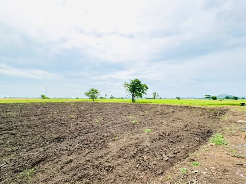 ที่ดินตาคลี นครสวรรค์, Nakhon Sawan, Phrom Nimitr, Takhli, Nakhon Sawan, , 13,432 sqm, Land For Sale, by The Best Property ต้นอ้อ, 500424346 - DDproperty.com