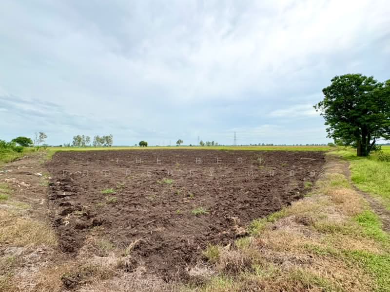 ที่ดินตาคลี นครสวรรค์, Nakhon Sawan, Phrom Nimitr, Takhli, Nakhon Sawan, , 13,432 sqm, Land For Sale, by The Best Property ต้นอ้อ, 500424346 - DDproperty.com