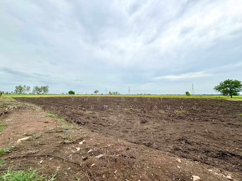 ที่ดินตาคลี นครสวรรค์, Nakhon Sawan, Phrom Nimitr, Takhli, Nakhon Sawan, , 13,432 sqm, Land For Sale, by The Best Property ต้นอ้อ, 500424346 - DDproperty.com