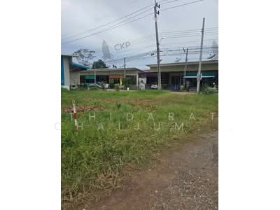 ขาย - ขายด่วน! ที่ดินติดถนนสาธารณะ ขนาด 2 งาน 95 ตร.วา ทำเลสัตหีบ ห่างจากถนนสุขุมวิทเพียง 850 เมตร, ชลบุรี