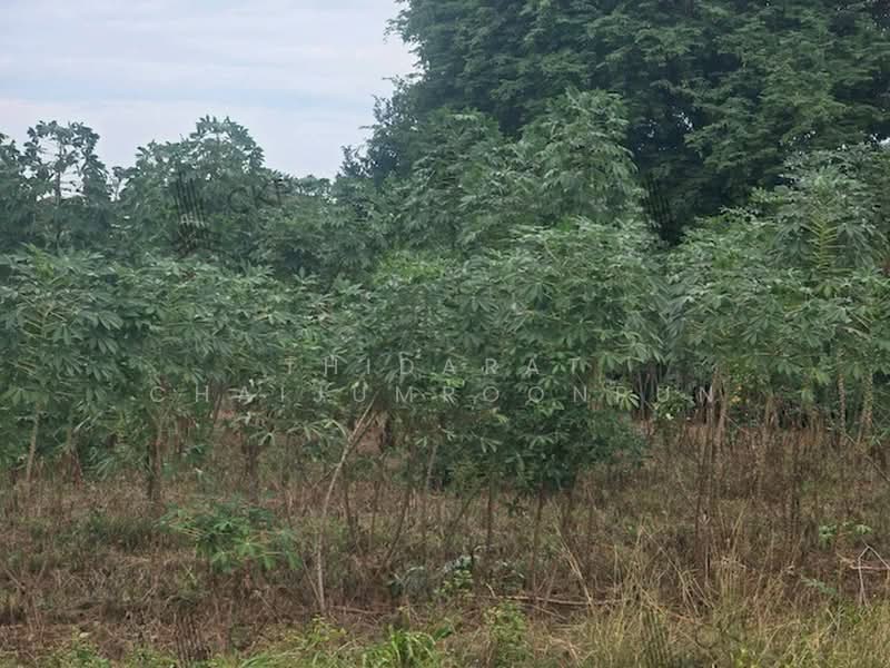 Urgent sale! Land plot of 2 ngan 95 square wa located on a public road in Sattahip, Chon Buri (Pattaya), Sattahip, Chon Buri (Pattaya), , 1,180 sqm, Land For Sale, by Thidarat Chaijumroonpun, 500424529 - DDproperty.com