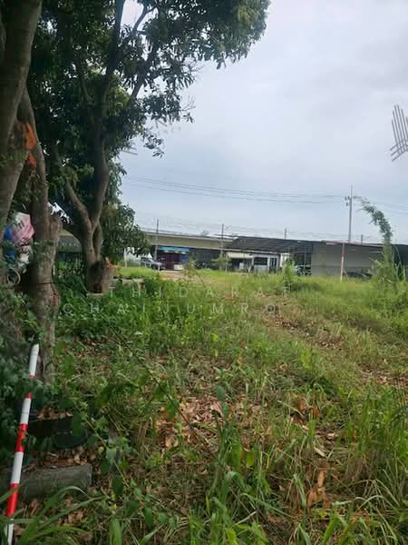 ขายด่วน! ที่ดินติดถนนสาธารณะ ขนาด 2 งาน 95 ตร.วา ทำเลสัตหีบ ห่างจากถนนสุขุมวิทเพียง 850 เมตร, ชลบุรี, สัตหีบ, ชลบุรี, 1,180 ตร.ม., ที่ดิน ขาย, โดย Thidarat Chaijumroonpun, 500424529 - DDproperty.com