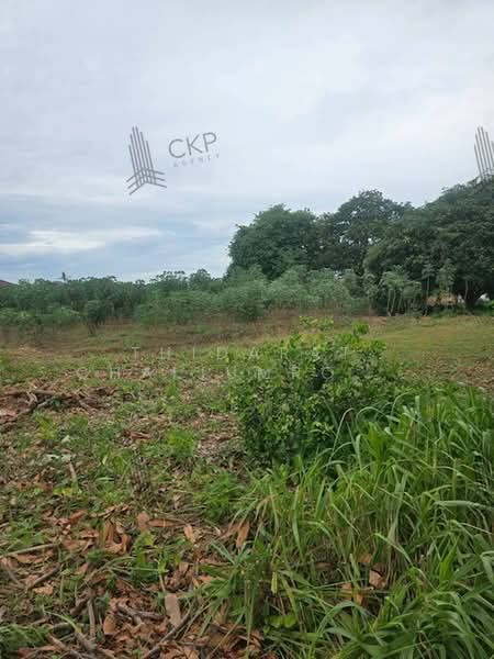 Urgent sale! Land plot of 2 ngan 95 square wa located on a public road in Sattahip, Chon Buri (Pattaya), Sattahip, Chon Buri (Pattaya), , 1,180 sqm, Land For Sale, by Thidarat Chaijumroonpun, 500424529 - DDproperty.com