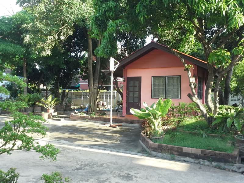 ขายบ้านเดี่ยว 2 ชั้น หนองแขม กรุงเทพฯ, Bangkok, Nong Kang Plu, Nong Khaem, Bangkok, 5 Bedrooms, 808 sqm, Single Detached House For Sale, by คุณ วิญากร, 500424721 - DDproperty.com