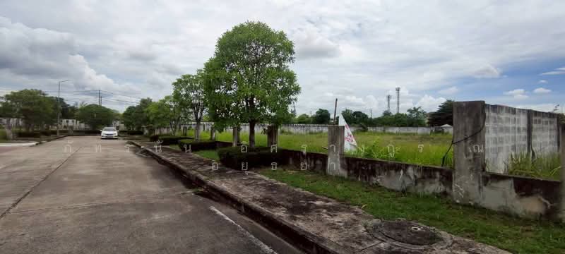ที่ดินเปล่า หมู่บ้านปัญญาอินทรา P5 รามอินทรา109, Bangkok, Bang Chun, Khlong Sam Wa, Bangkok, , 1,604 sqm, Land For Sale, by ภัทรนัน อิศรางกูร ณ อยุธยา, 500424779 - DDproperty.com