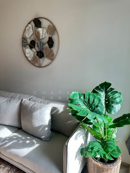 Chapter Thonglor 25, Bangkok, Soi Thonglor 25, Sukhumvit Road, Khlong Tan Nua, Watthana, Bangkok, 1 Bedroom, 35 sqm, Condo For Rent, by Chayanin Khanijou, 500424782 - DDproperty.com