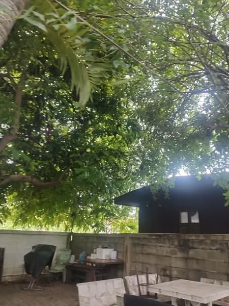 Urgent Sale! 157 sq.wah of Land with Existing Structures in Bang Duan, Phasi Charoen, Bangkok, Bang Duan, Phasi Charoen, Bangkok, , 628 sqm, Land For Sale, by ปัญญา สมหมาย, 500424842 - DDproperty.com