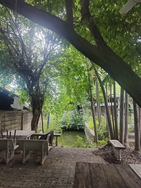 Urgent Sale! 157 sq.wah of Land with Existing Structures in Bang Duan, Phasi Charoen, Bangkok, Bang Duan, Phasi Charoen, Bangkok, , 628 sqm, Land For Sale, by ปัญญา สมหมาย, 500424842 - DDproperty.com