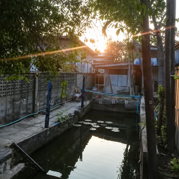 Urgent Sale! 157 sq.wah of Land with Existing Structures in Bang Duan, Phasi Charoen, Bangkok, Bang Duan, Phasi Charoen, Bangkok, , 628 sqm, Land For Sale, by ปัญญา สมหมาย, 500424842 - DDproperty.com