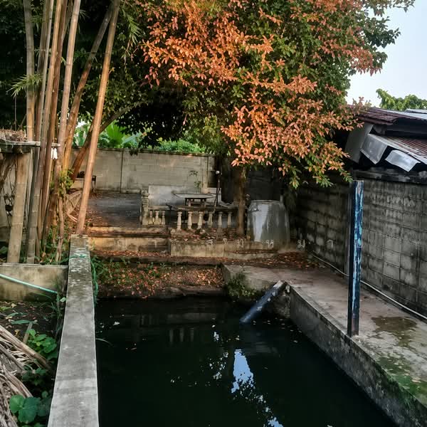 Urgent Sale! 157 sq.wah of Land with Existing Structures in Bang Duan, Phasi Charoen, Bangkok, Bang Duan, Phasi Charoen, Bangkok, , 628 sqm, Land For Sale, by ปัญญา สมหมาย, 500424842 - DDproperty.com