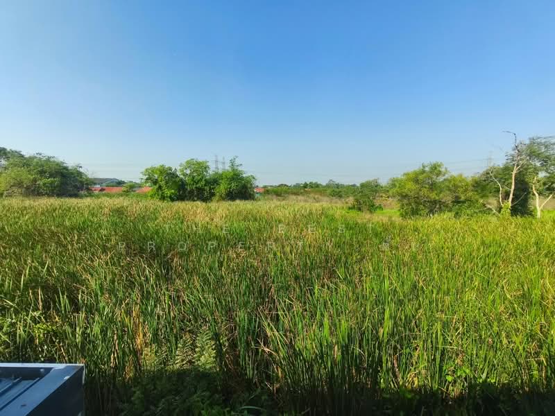 พฤกษา รังสิต-วงแหวนฯ, Pathum Thani, Lam Phak Kut, Thanyaburi, Pathum Thani, 3 Bedrooms, 100 sqm, Townhouse For Sale, by The Best Property ตั๊บ, 500424862 - DDproperty.com