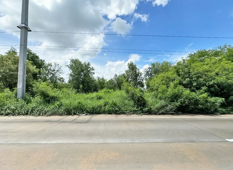 ที่ดินบ้านโพธิ์ ฉะเชิงเทรา, Chachoengsao, Laem Pradu, Ban Pho, Chachoengsao, , 14,836 sqm, Land For Sale, by The Best Property กีต้าร์, 500424969 - DDproperty.com