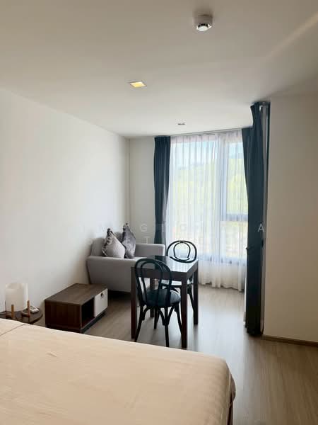 The Base Central, Phuket, Chao Fah Tawan Tok Rd, Wichit, Muang Phuket, Phuket, 1 Bedroom, 25 sqm, Condo For Rent, by primeglobalasset bee, 500424999 - DDproperty.com