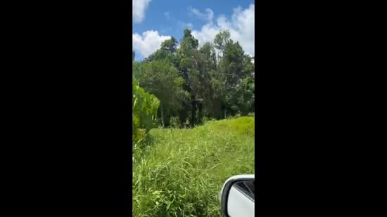 Land for sale in Sakhu Subdistrict, Thalang District, Phuket Province, 10 rai. 2 km from the airport, Phuket, Sa Khu, Thalang, Phuket, , 16,672 sqm, Land For Sale, by Pawarisa Shanivet, 500425089 - DDproperty.com
