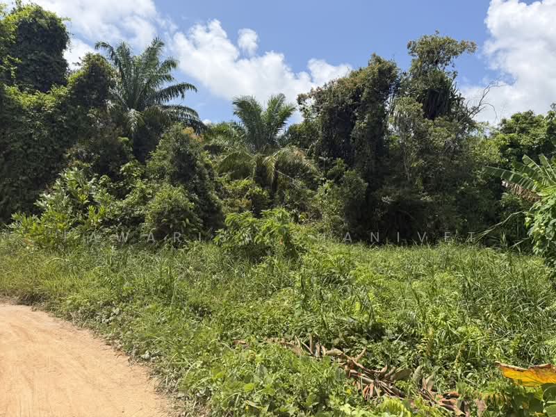 Land for sale in Sakhu Subdistrict, Thalang District, Phuket Province, 10 rai. 2 km from the airport, Phuket, Sa Khu, Thalang, Phuket, , 16,672 sqm, Land For Sale, by Pawarisa Shanivet, 500425089 - DDproperty.com